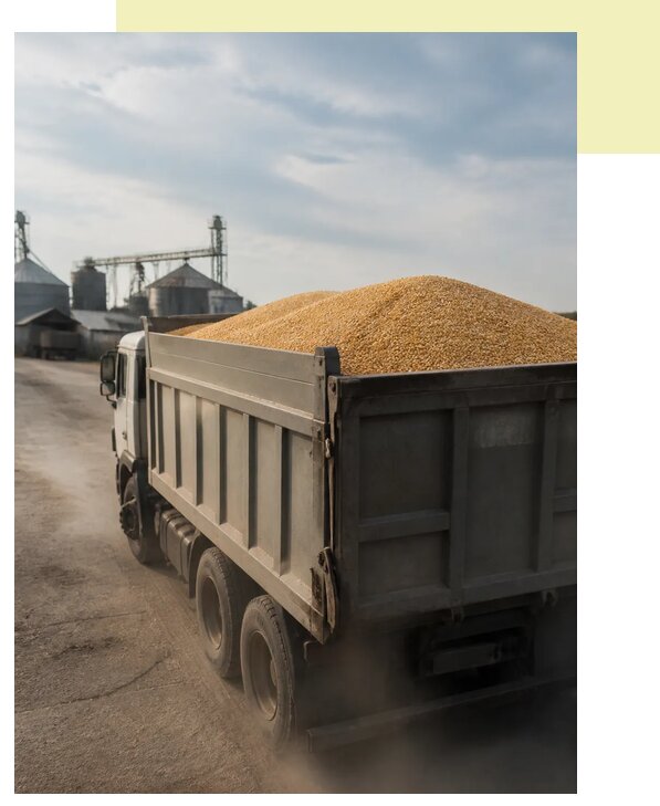 Перевозка сельхозпродукции навалом в Арзамас по цене от 3258 р. | Агросервис-Рзм